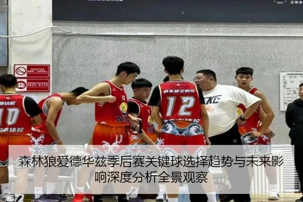 森林狼爱德华兹季后赛关键球选择趋势与未来影响深度分析全景观察